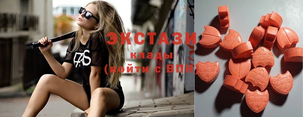 прущие грибы Вяземский