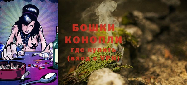 прущие грибы Вяземский