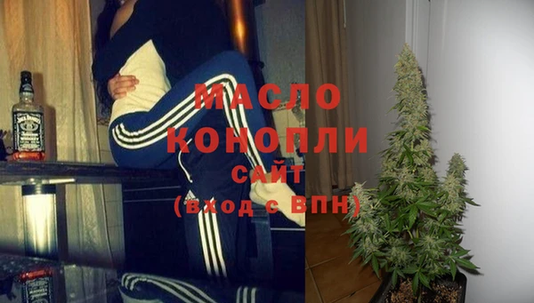 сатива Волоколамск