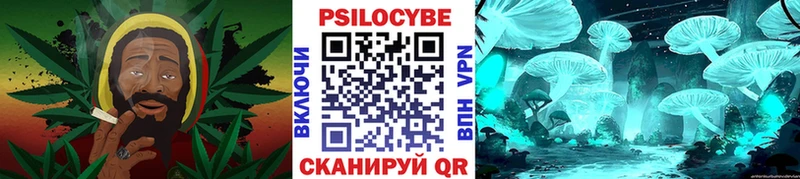 где купить наркоту  Верея  Галлюциногенные грибы Cubensis 