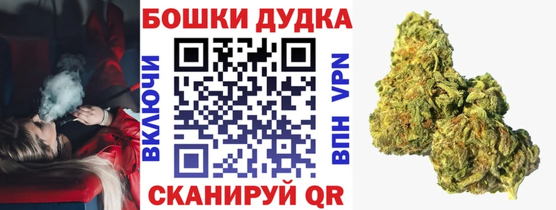 Бошки Шишки план Верея